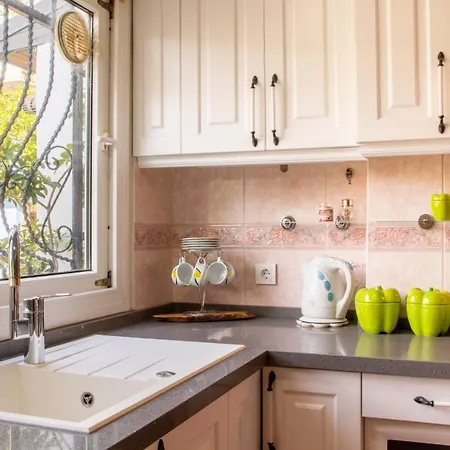 Spacious Detached House With Garden In Izmir